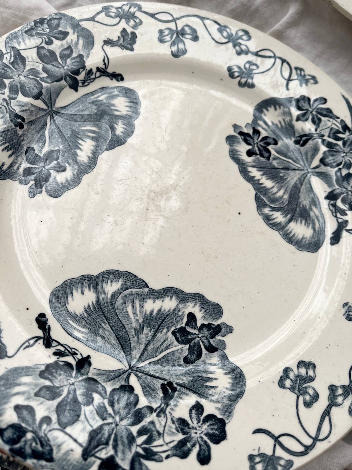 4 ironstone dinner plates “Les Violettes” Salins