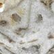 drusy agate spheres (quartz) on bases – mineral decoration