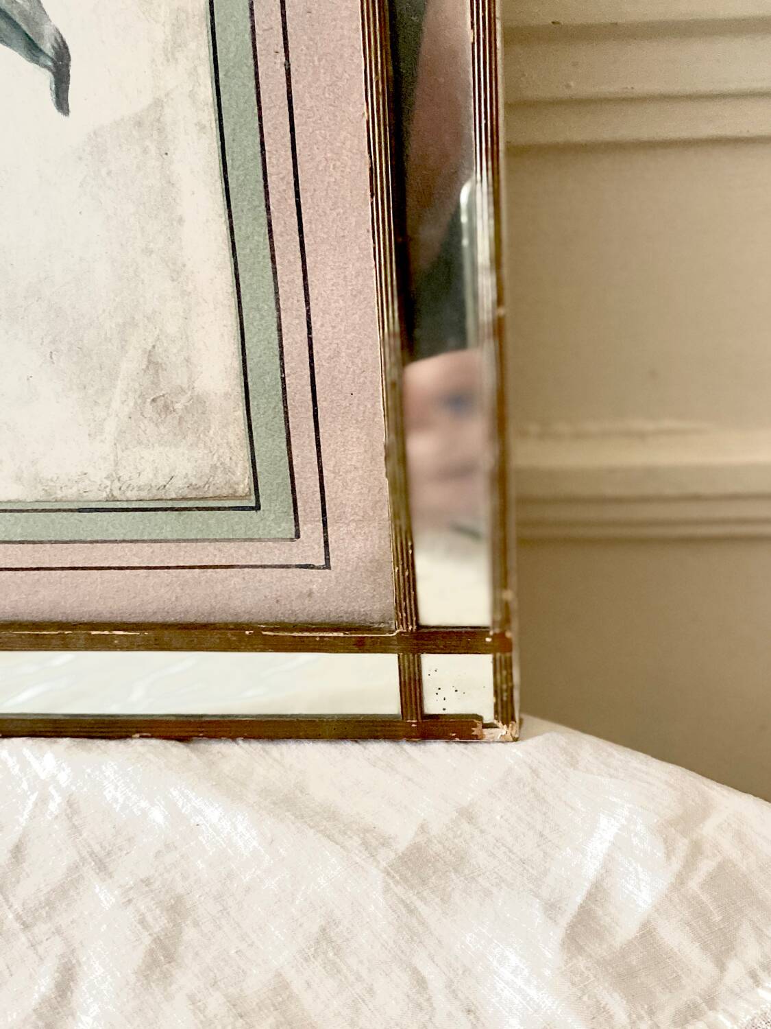 Botanical lithograph frame