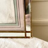 Botanical lithograph frame