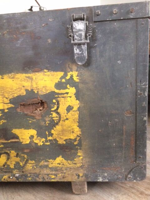 Transport trunk