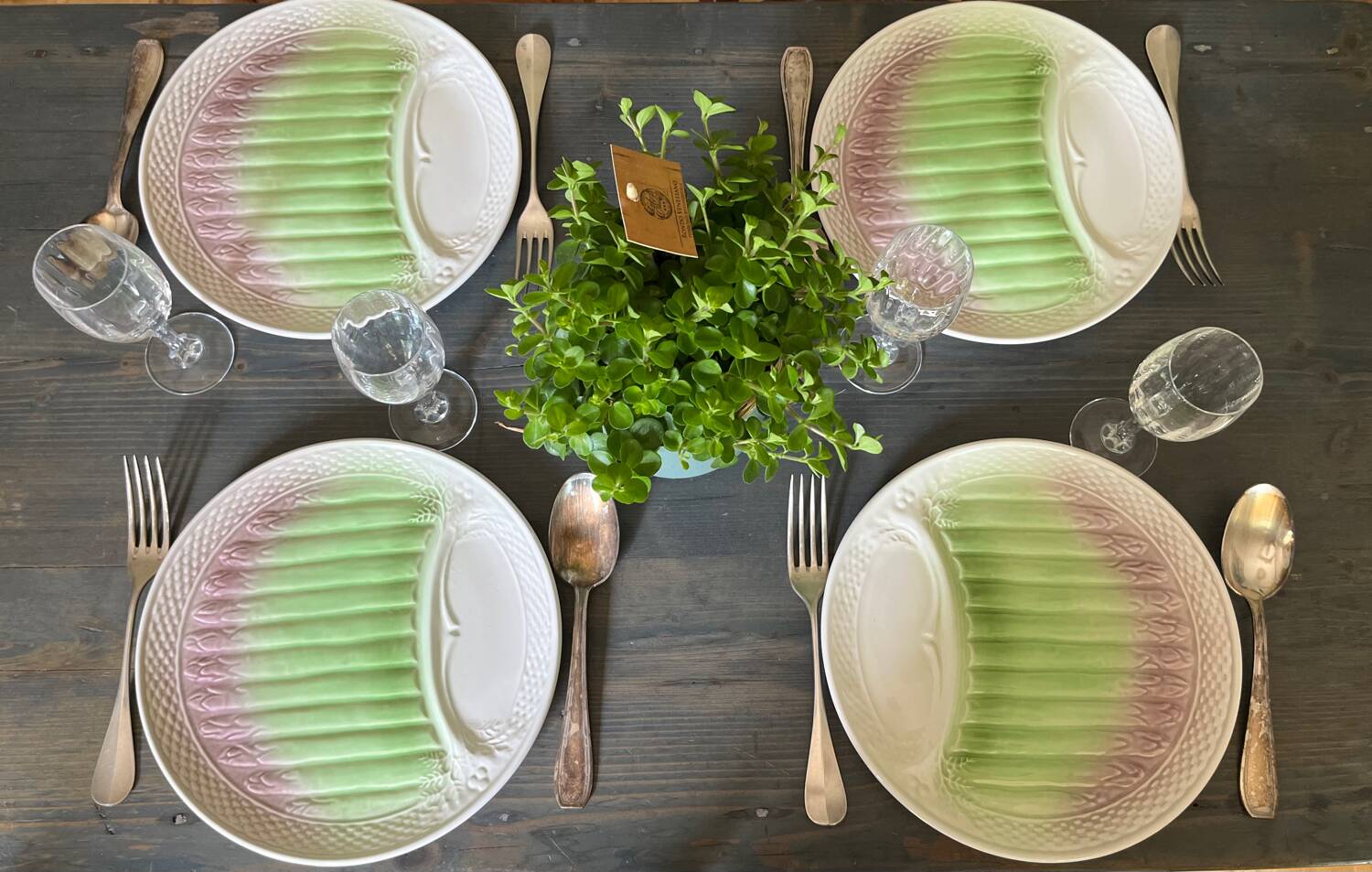 Asparagus plates