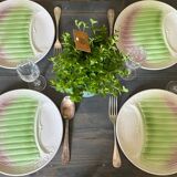 Asparagus plates