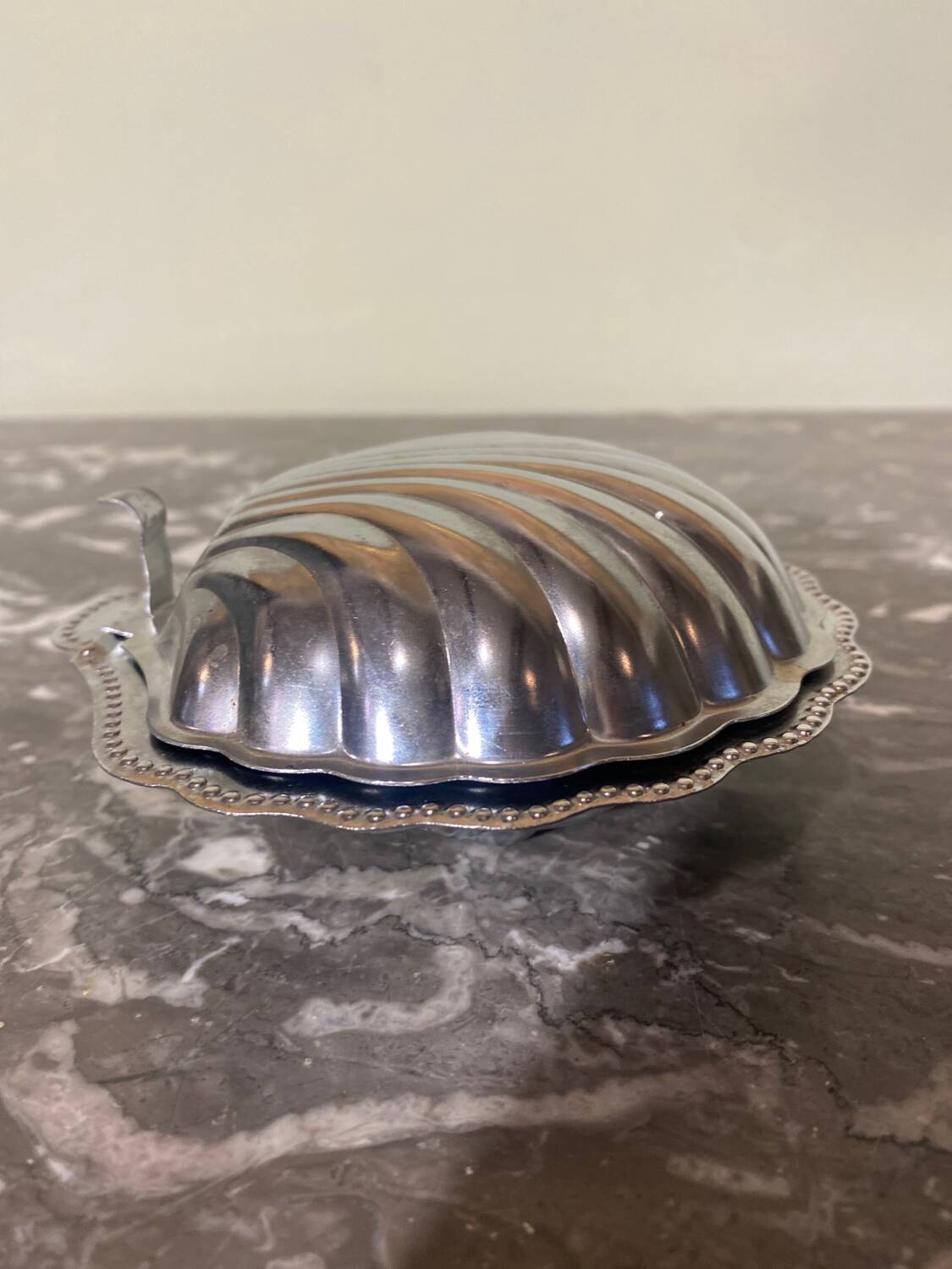 Beurrier coquillage