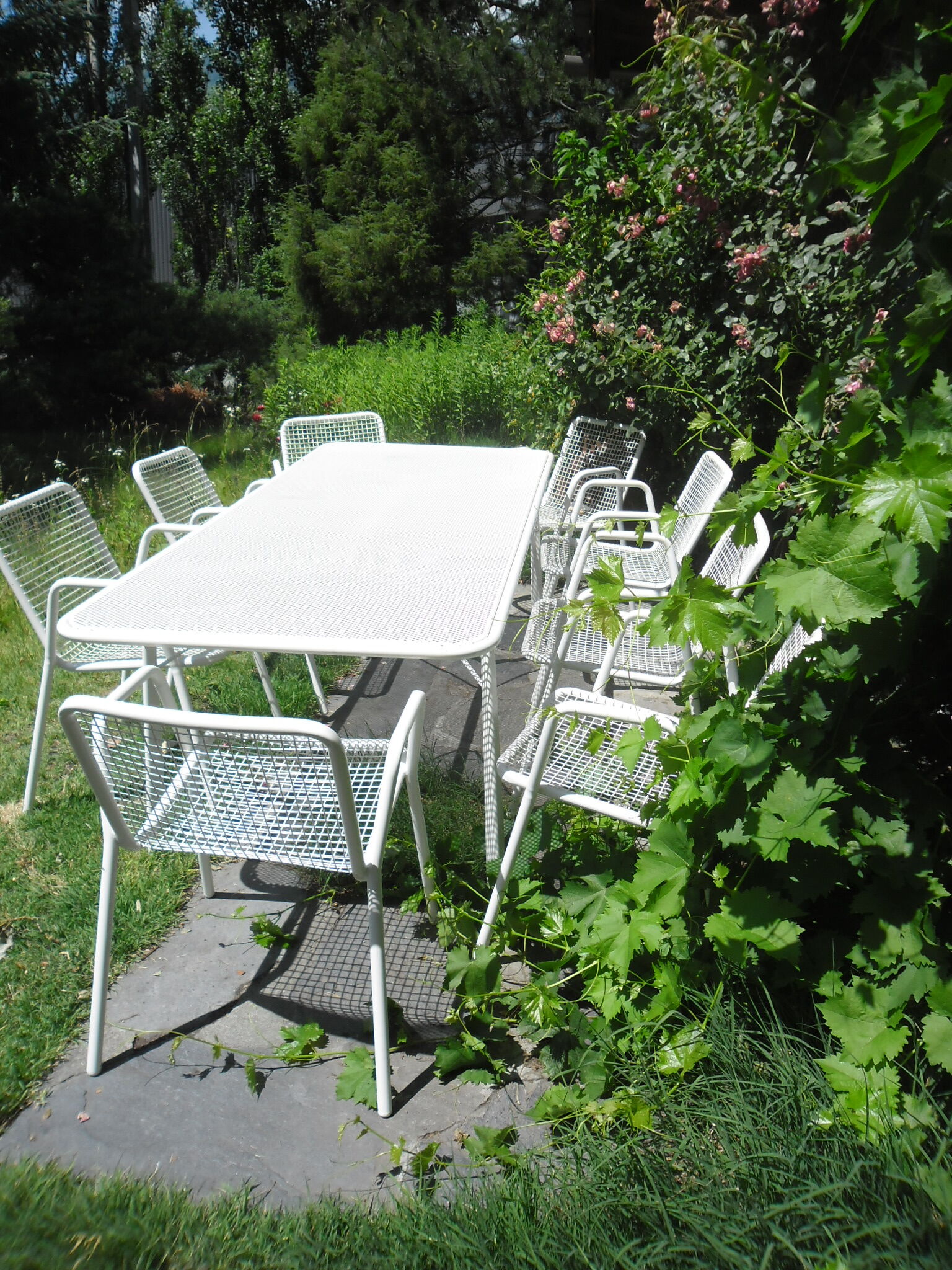 Table and armchair model Rio de Emu