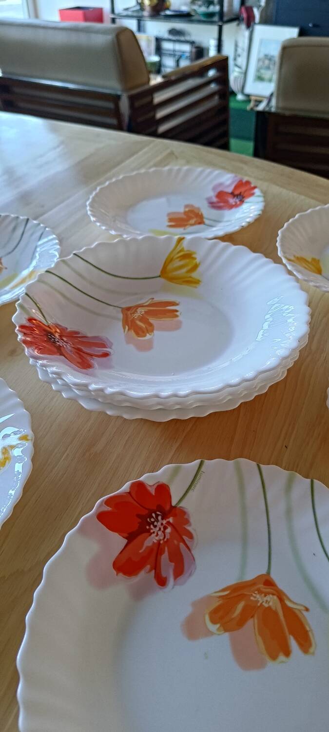 Luminarc floral plate set