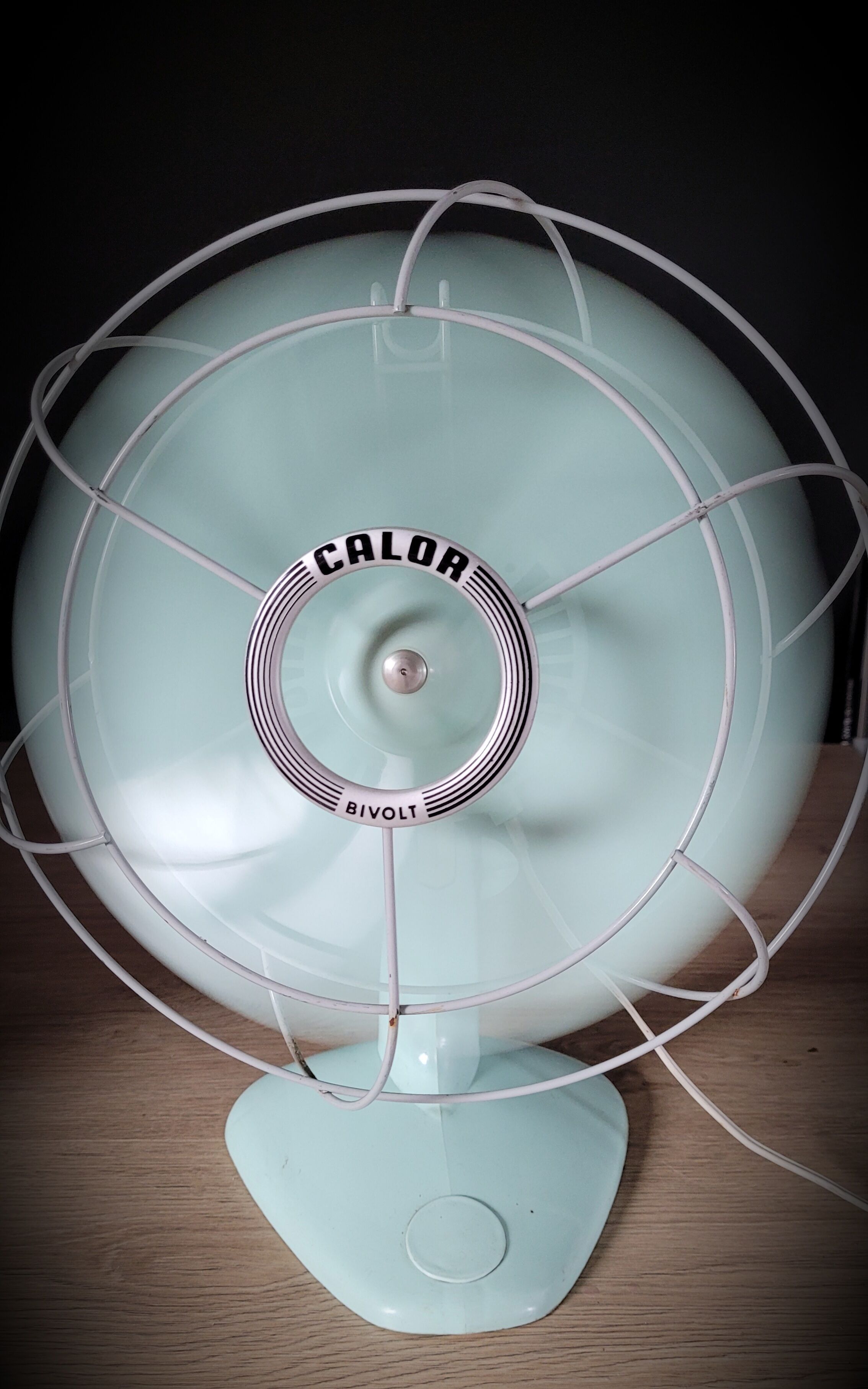 Calor 60s fan
