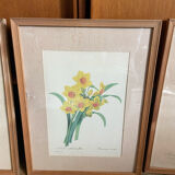 Trio of ancient botanical posters