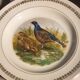 Game plates pl france