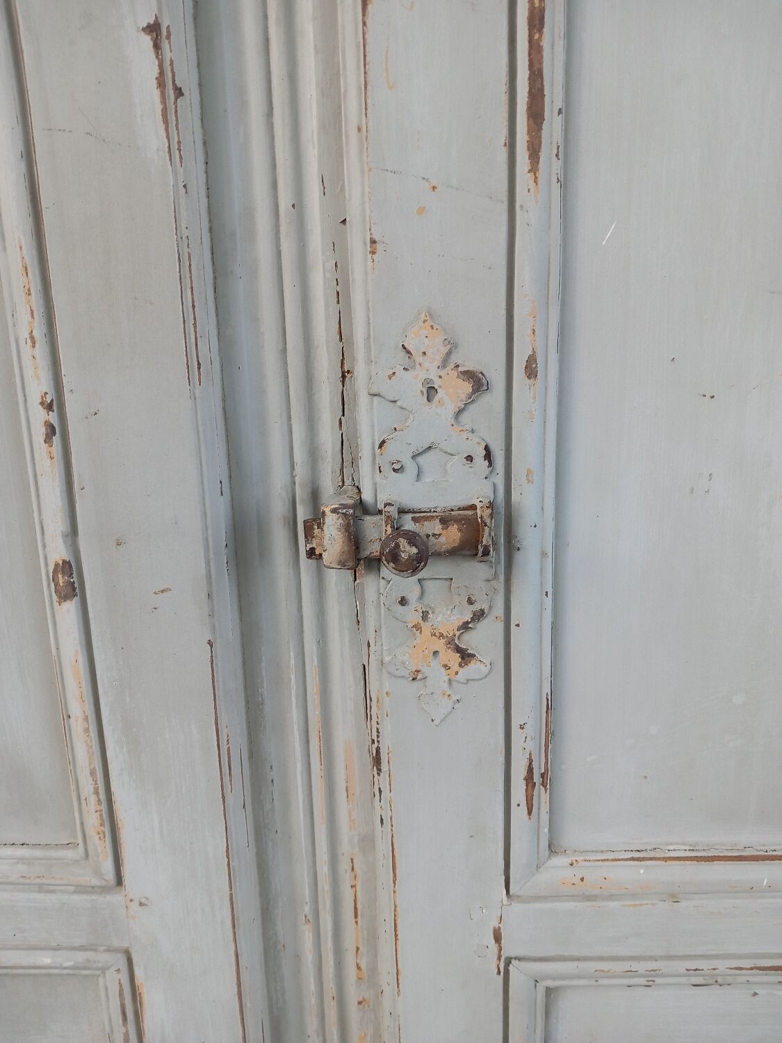 2 portes de placard anciennes en bois avec chassis