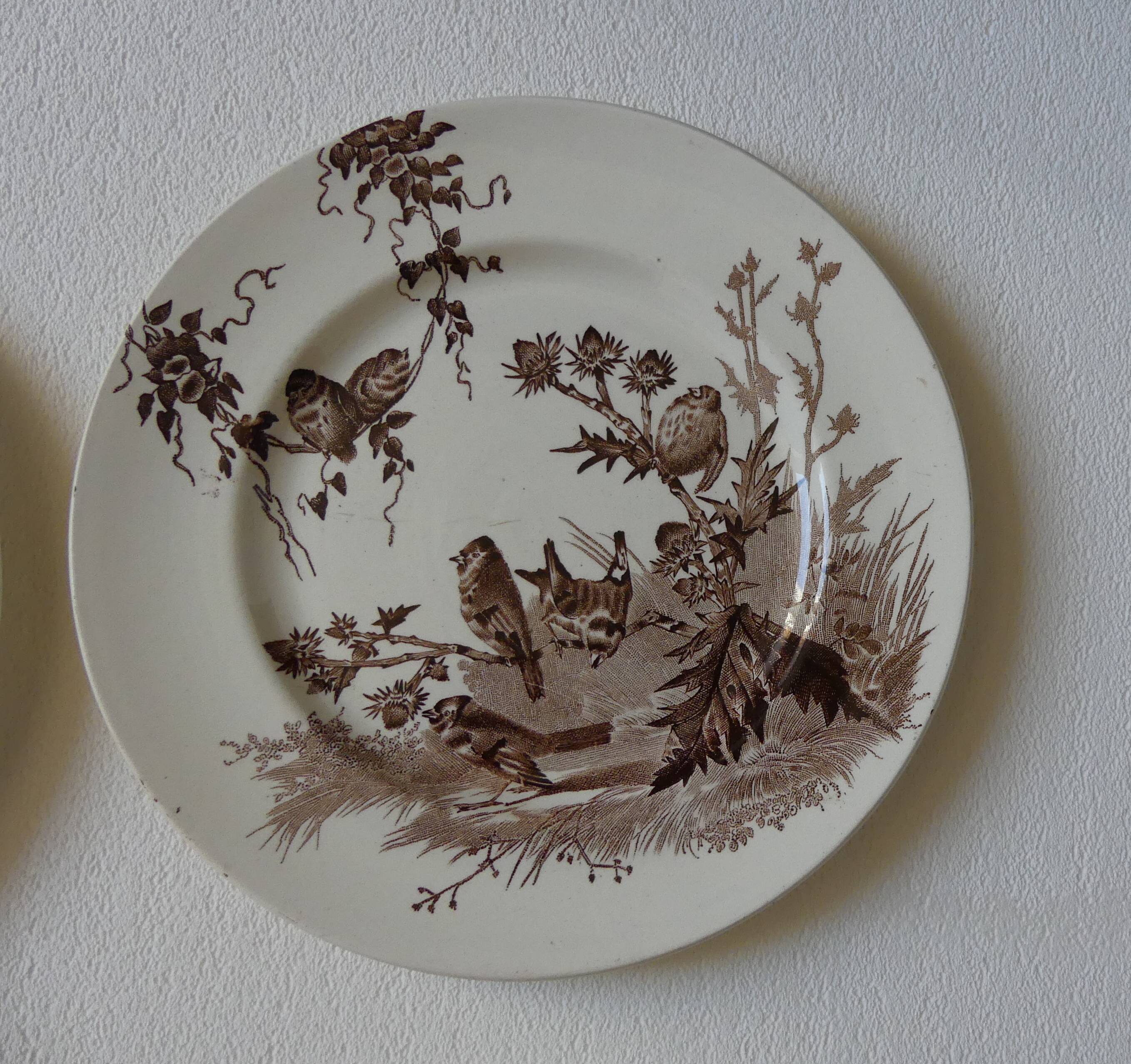 4 plates creil & montereau chardonnerets model with sepia birds decor