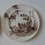 4 assiettes creil & montereau modèle chardonnerets décor oiseaux sépia