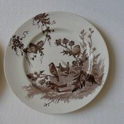 4 plates creil & montereau chardonnerets model with sepia birds decor