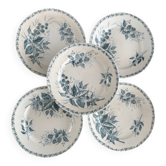 Set de 5 Assiettes plates Badonviller Vintage en Terre de Fer – Modèle Mûre