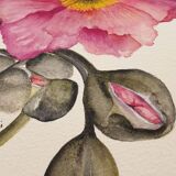 Fine art print 21x30 "The anemone" limited edition