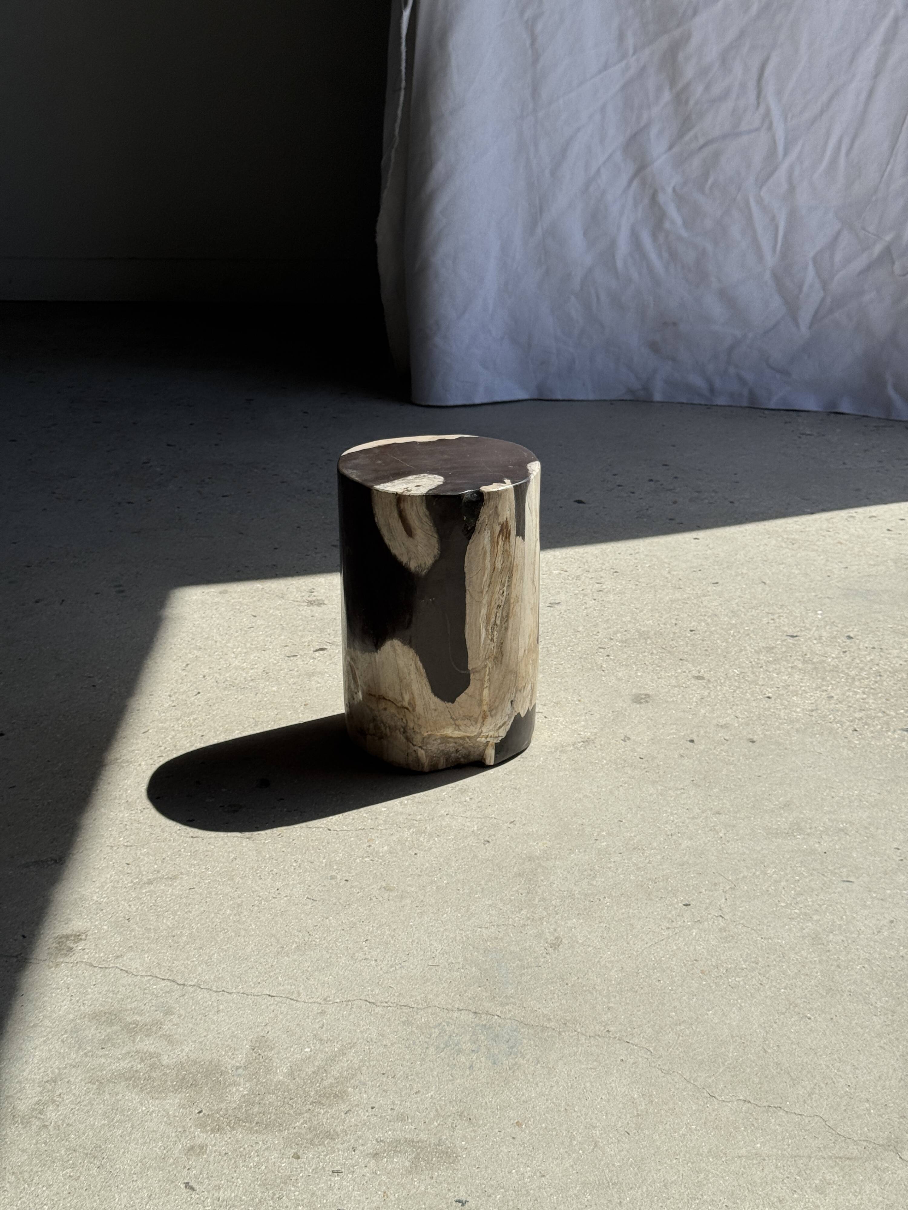 Small side table in black and white petrified wood H28 D18