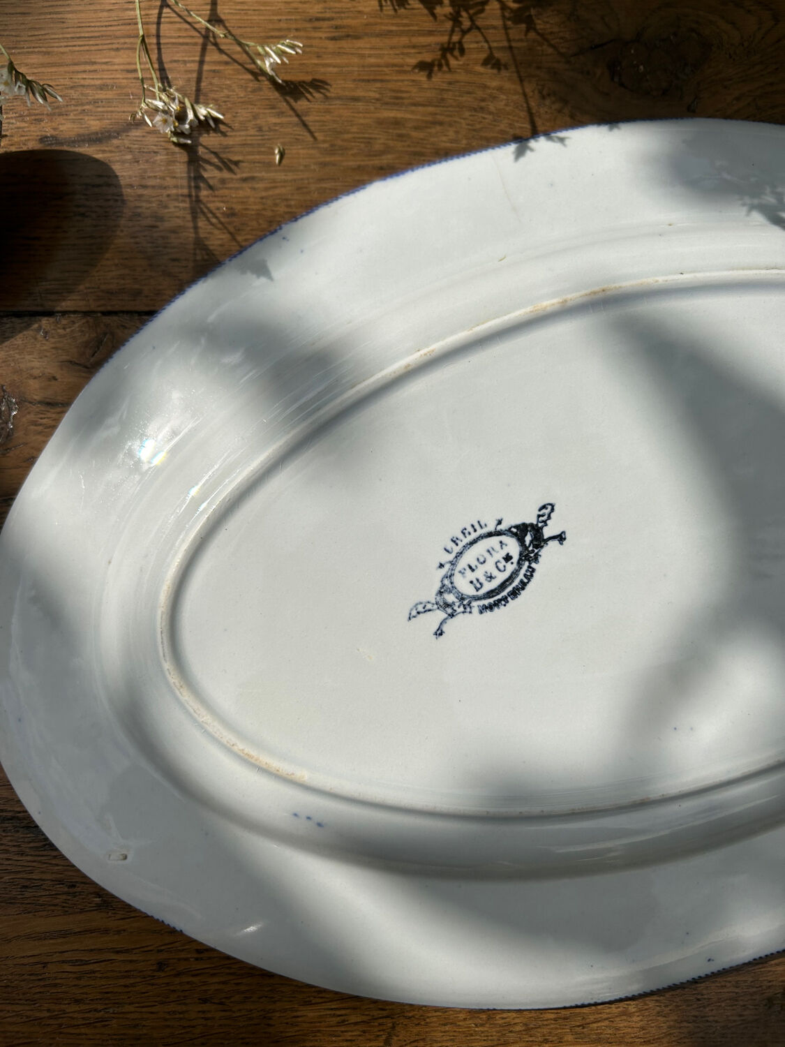 Oval dish Flora Creil and Montereau 1880