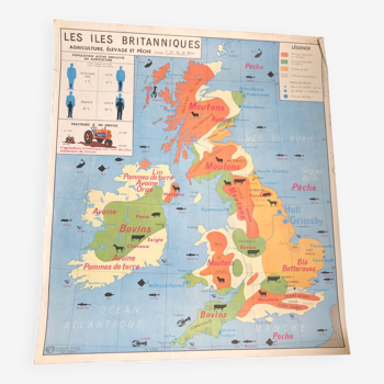 Carte scolaire ancienne Îles Britanniques / État Unis - agriculture et Élevage