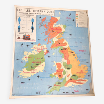 Old school map British Isles / United States - agriculture and livestock