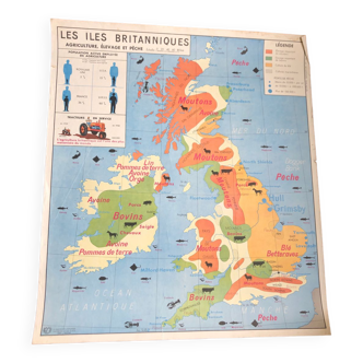 Carte scolaire ancienne Îles Britanniques / État Unis - agriculture et Élevage