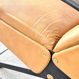 Lounge Chair Designed By Osvaldo Borsani For Tecno.