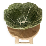 Cabbage barbotine salad bowl