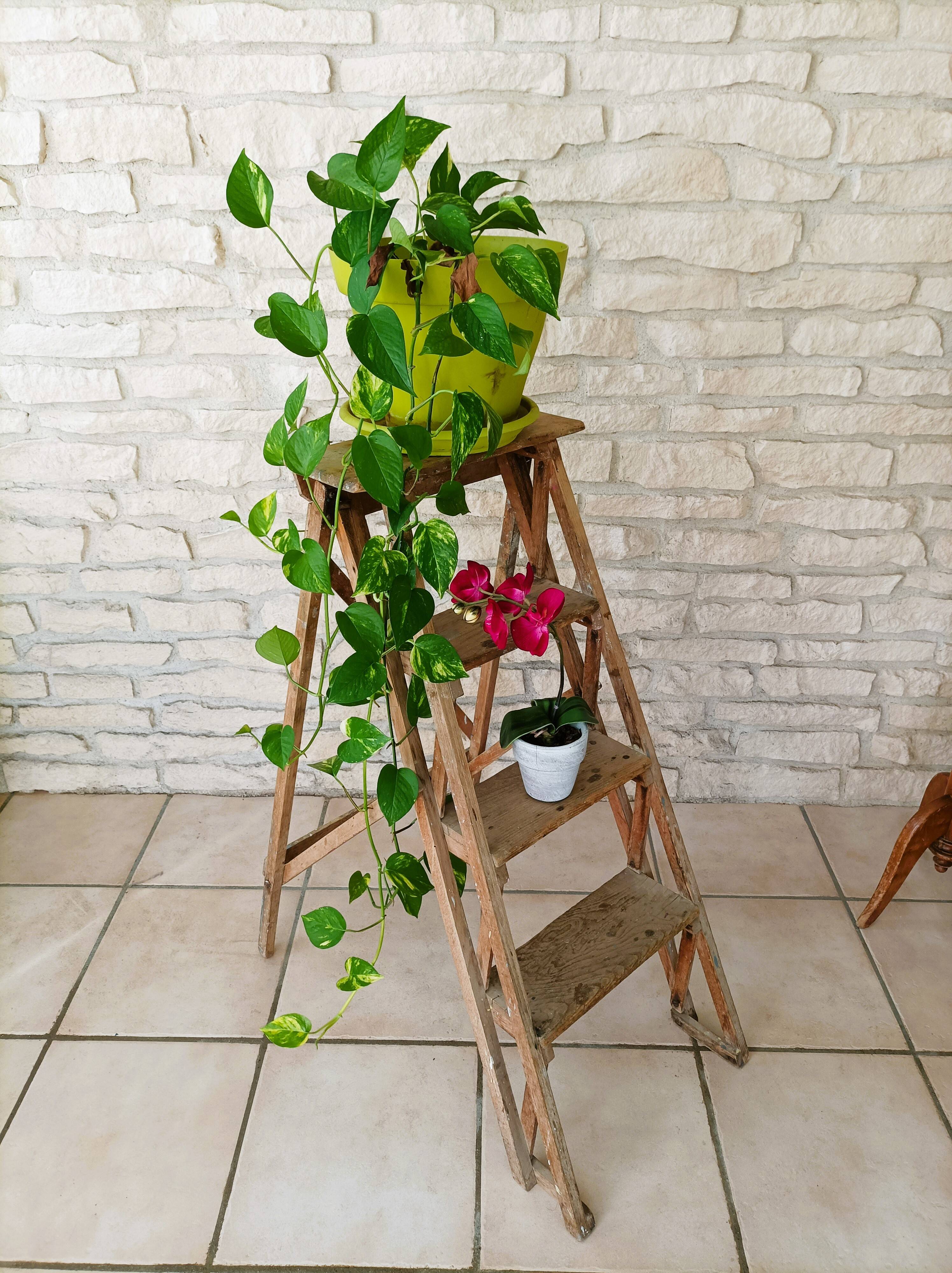 Painter's stepladder