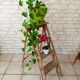 Painter's stepladder
