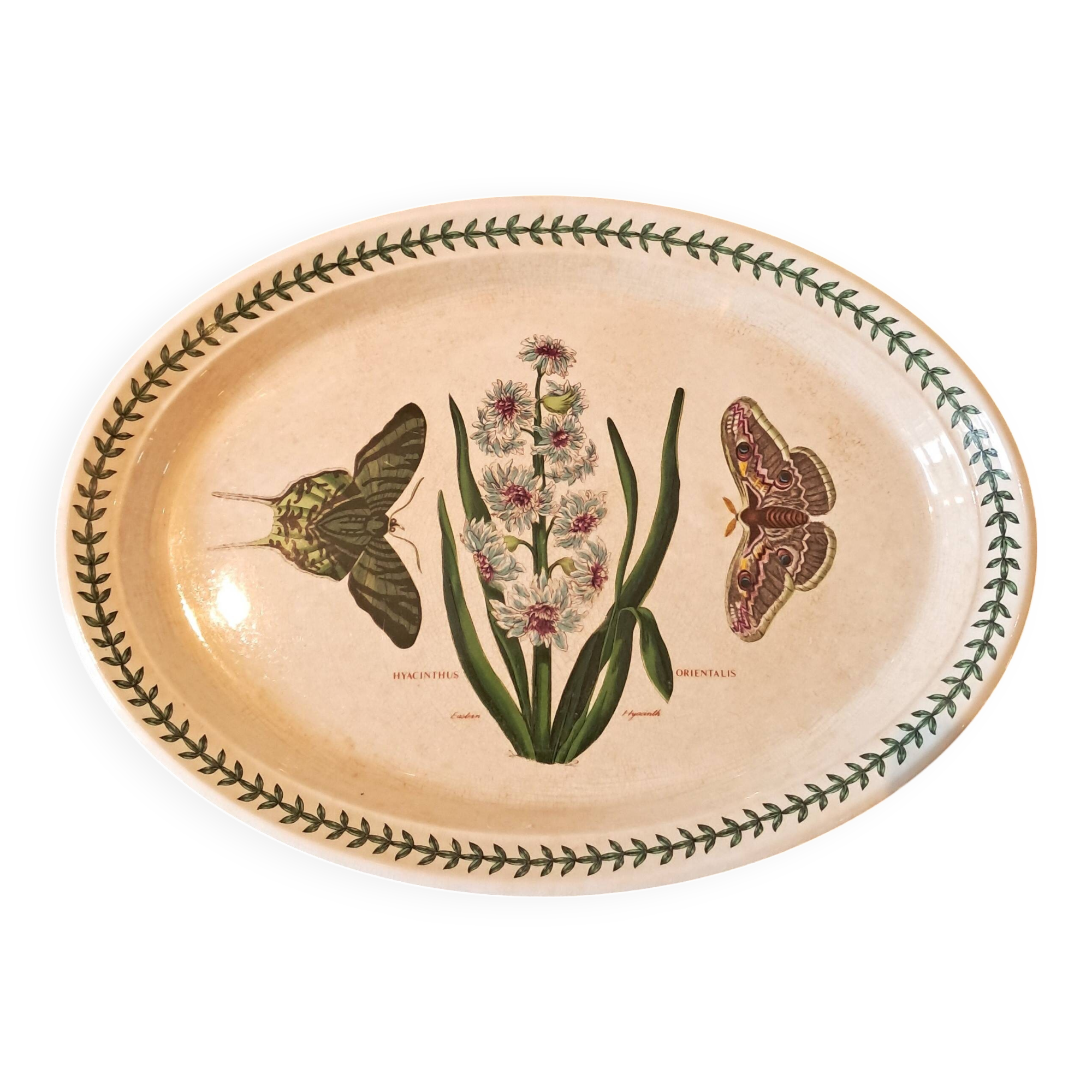 Plat De Service Ovale En Faïence Anglaise Portmeirion Botanic Garden Avec H