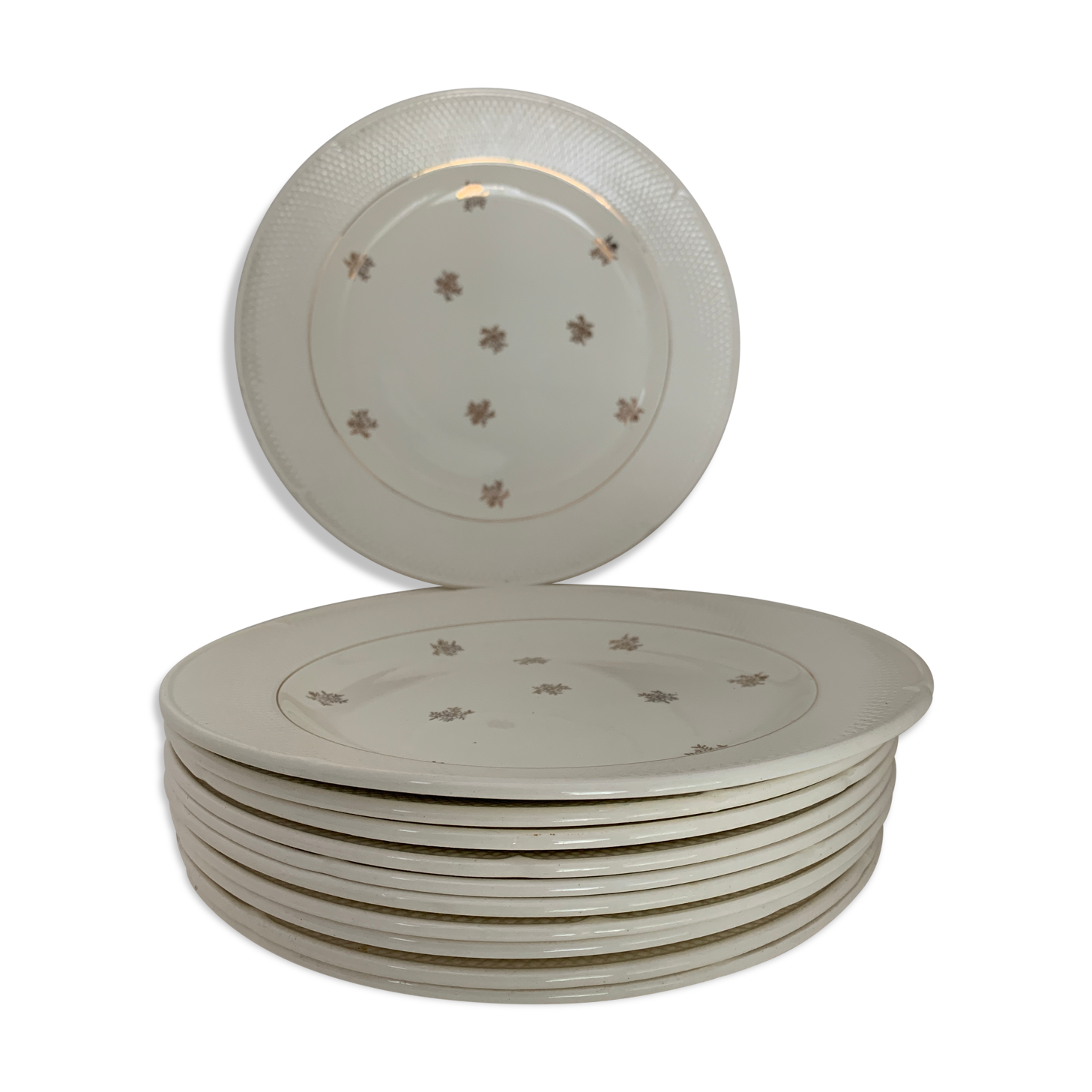 11 Salins flat plates