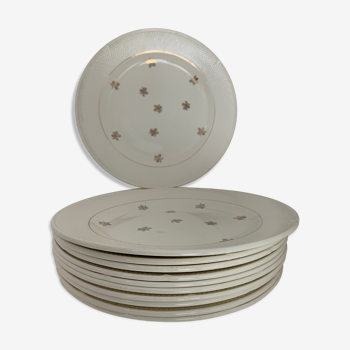 11 Salins flat plates