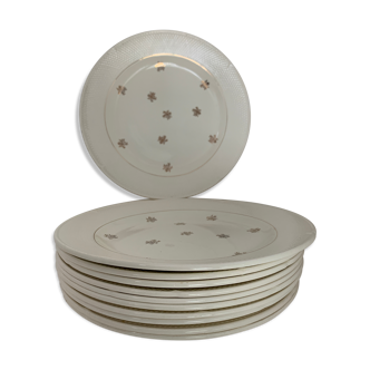 11 Salins flat plates