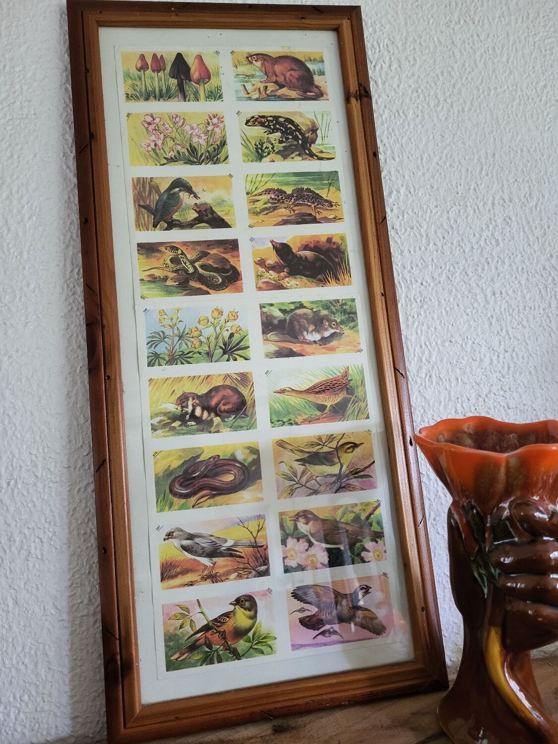 Vintage illustration