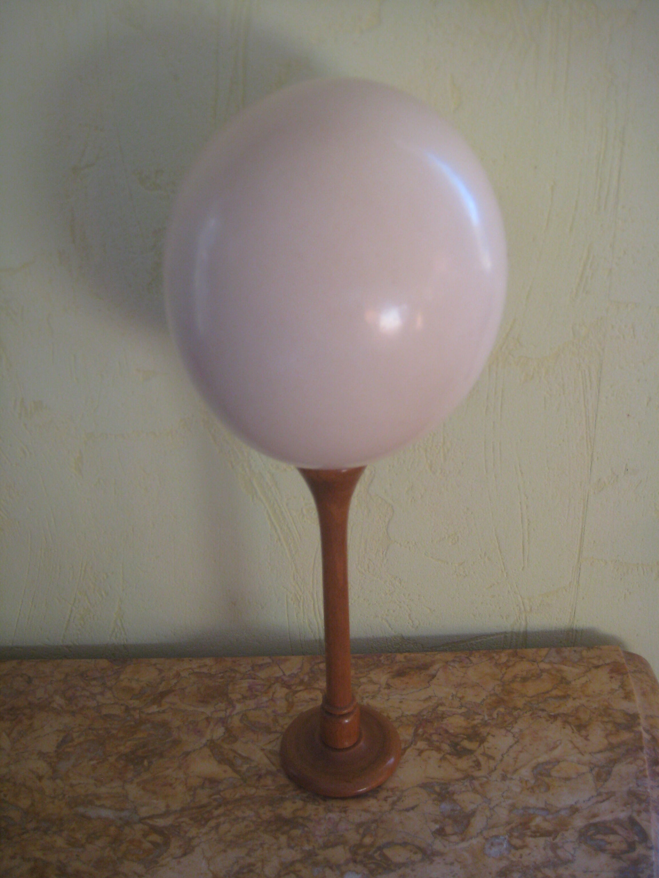 Ostrich Egg And Its Presentation Base