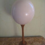 Ostrich Egg And Its Presentation Base