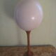 Ostrich Egg And Its Presentation Base