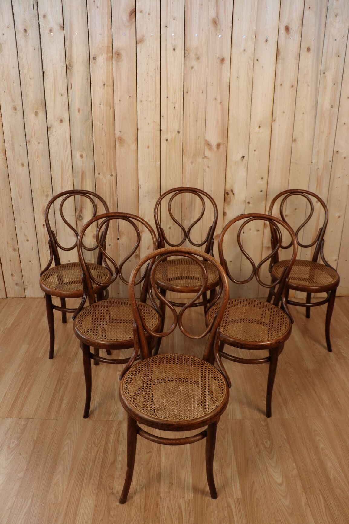 Set of 6 omega bistro chairs