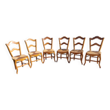 6 Old Straw Chairs in Fruit Tree