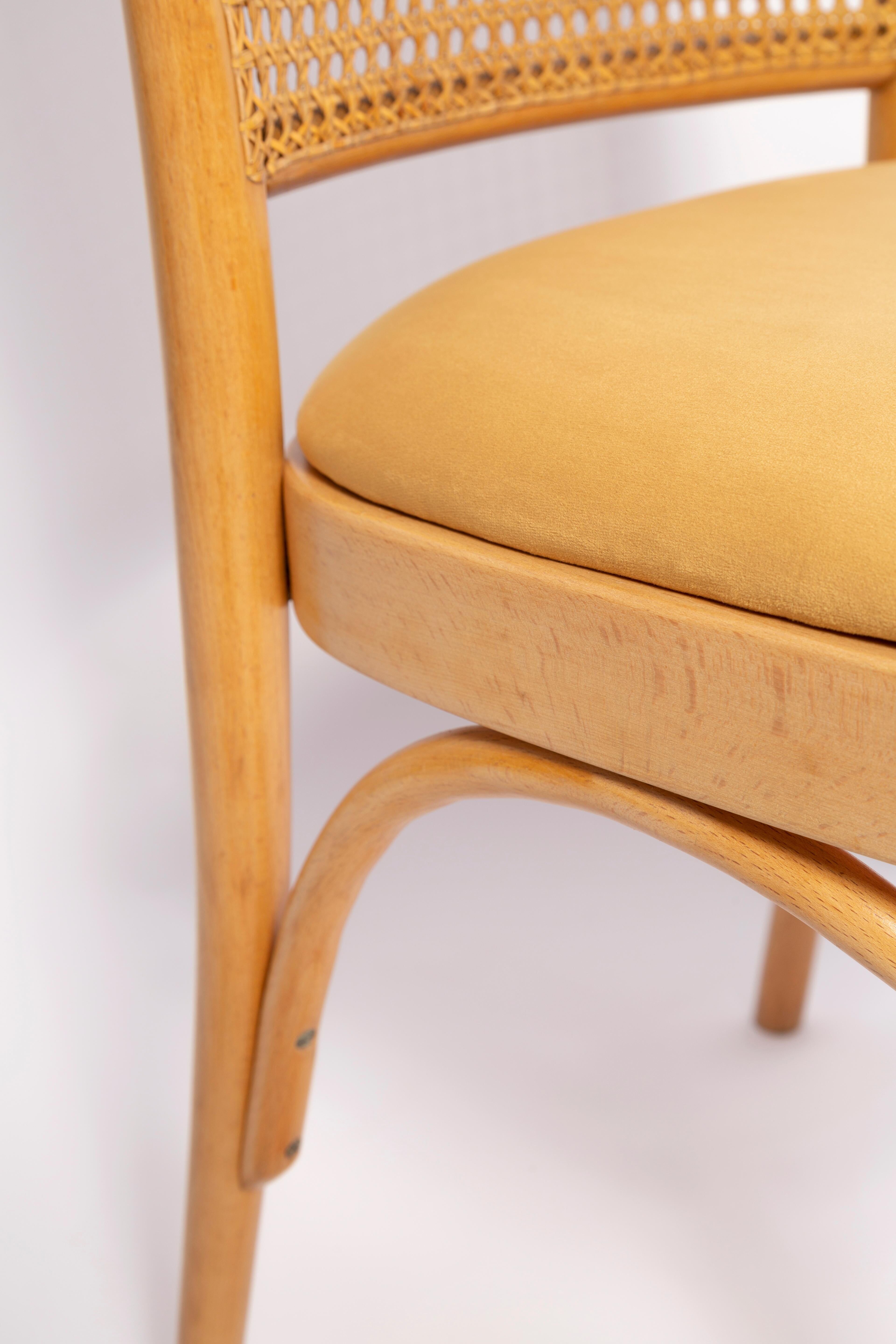 Thonet chair in rattan and yellow velvet wood from the mid-century, Europe, 1960s.