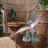 Door plant rattan peacock