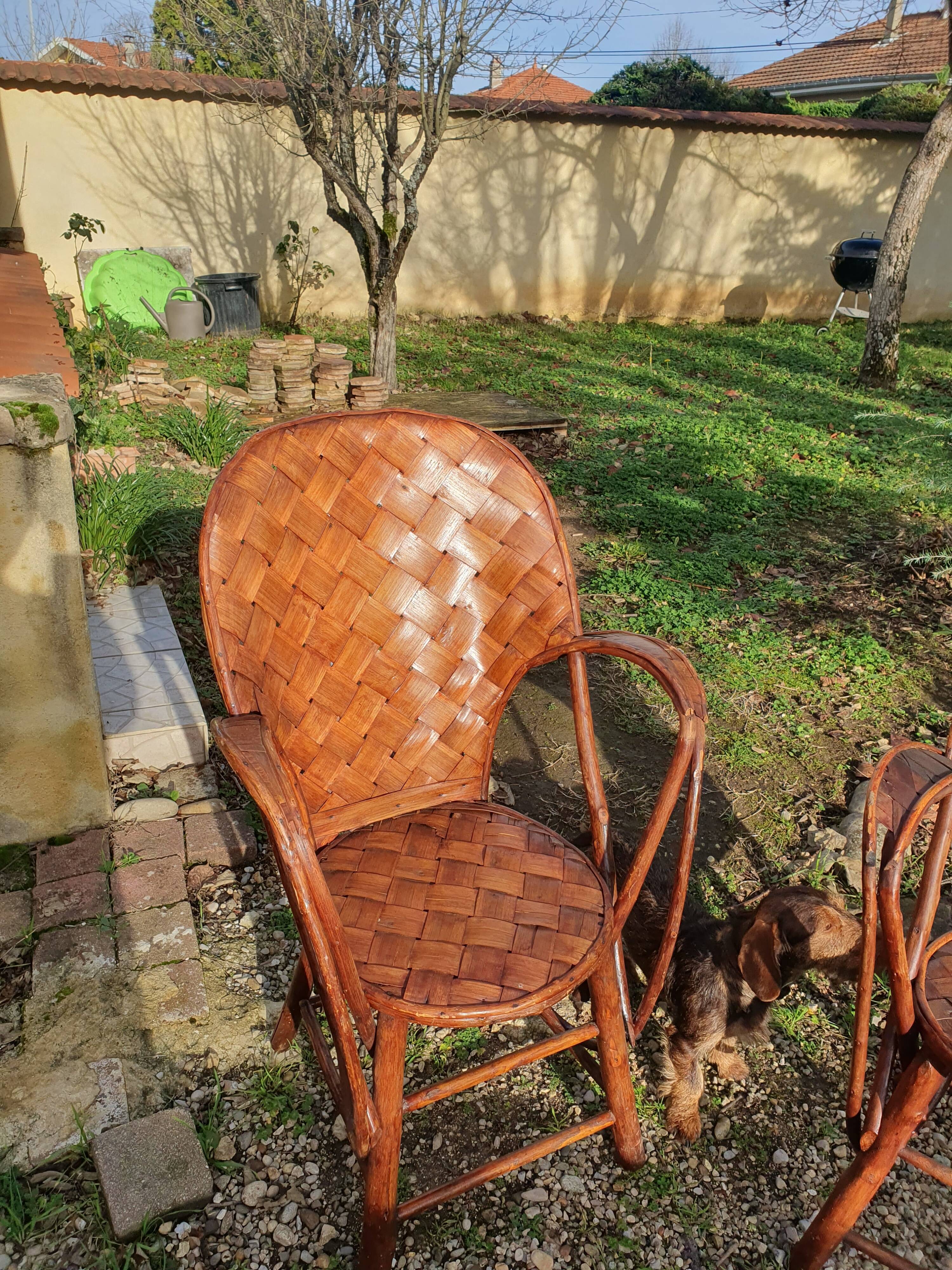 Pair of armchairs in chestnut