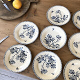 11 assiettes Terre de Fer Aubepine