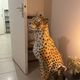 Large glazed ceramic cheetah statue - Vintage decoration