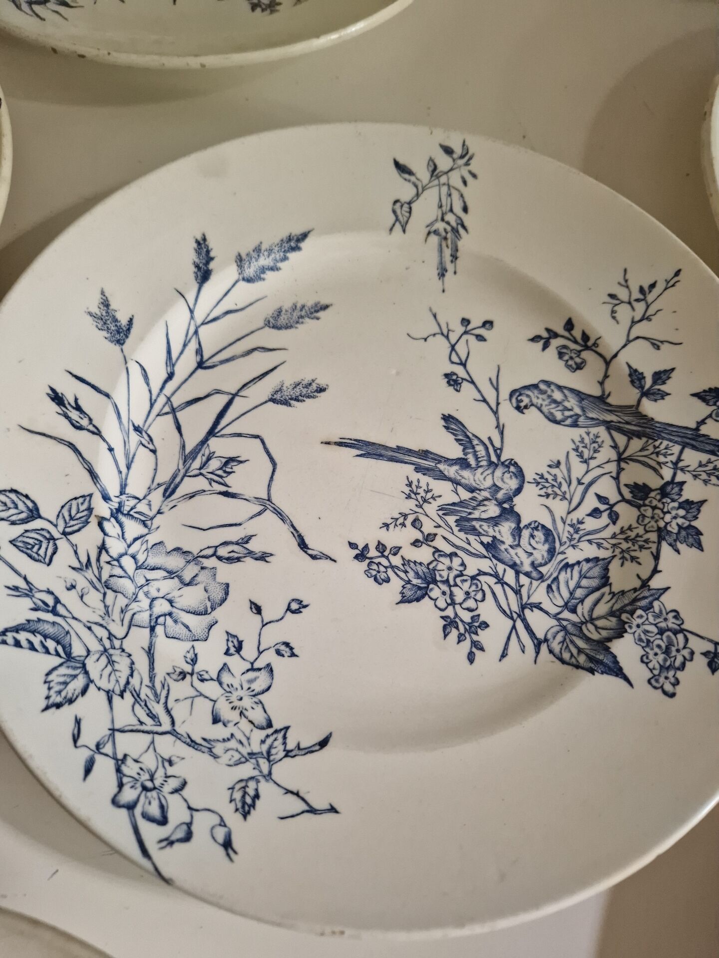 Lot De 9 Assiettes Plates Terre De Fer