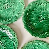 8 plates in leaf slurry