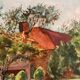 Vintage Watercolor