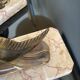 Serres livres art déco