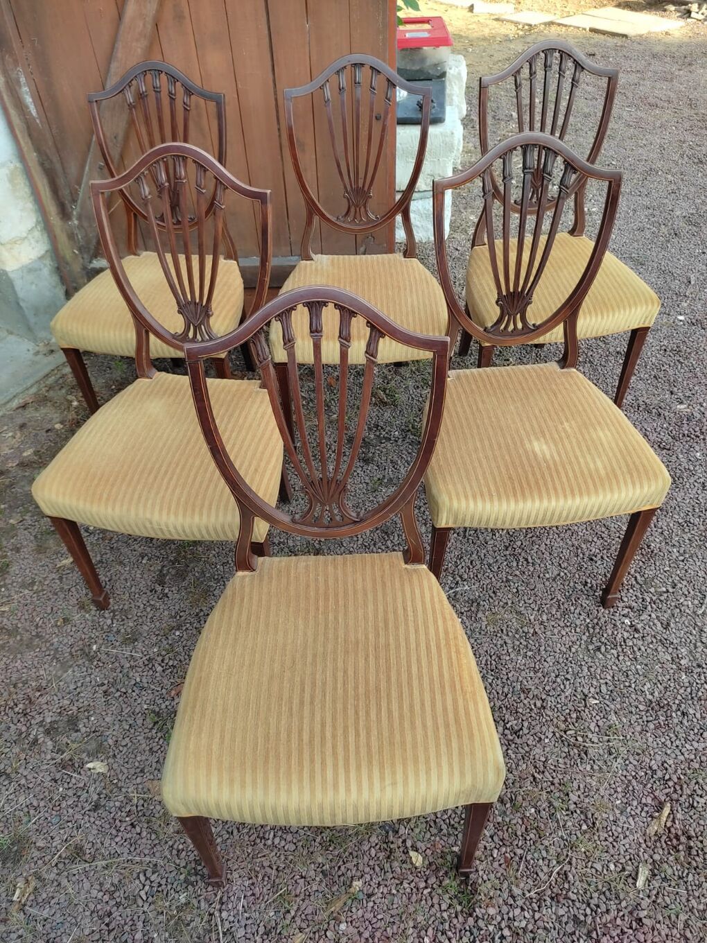 Rare, Victorian chairs nineteenth century. Vintage English hepplewhite chairs
