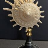 Cabinet of Curiosities stellaria solaris shell on base