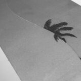Palm - Collage